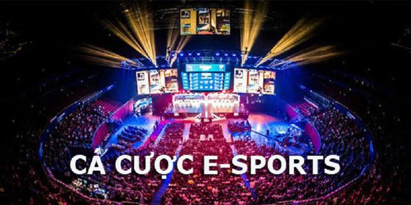 Hướng Dẫn Cá Cược Esports Tại F168 Cho Newbie 2025 5 Áp dụng các chiến thuật khi cá cược Esports