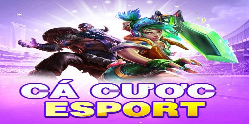 Hướng Dẫn Cá Cược Esports Tại F168 Cho Newbie 2025 6 Một vài lưu ý đặc biệt cho khách hàng