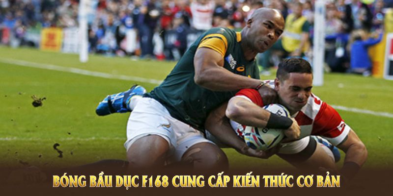 Mẹo Đặt Cược Thông Minh Khi Chơi Bóng Bầu Dục F168 4 Bóng bầu dục F168 cung cấp kiến thức cơ bản và nâng cao để người chơi tự tin
